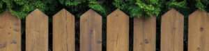 Picket Fence